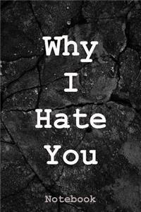 Why I Hate You