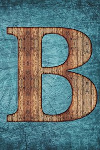 Monogrammed Notebook - B