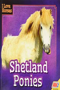 Shetland Ponies