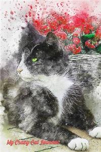 My Crazy Cat Journal
