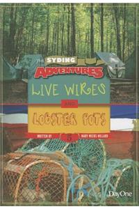 Live Wires & Lobster Pots