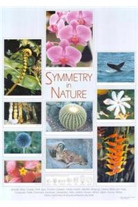 Symmetry in Nature Poster