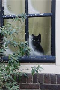 Charming Black Cat Looking Out the Window Pet Journal
