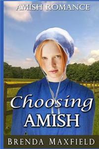 Amish Romance