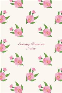 Evening Primrose Notes