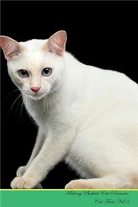 Mekong Bobtail Cat Presents
