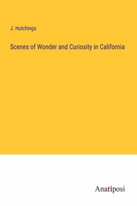 Scenes of Wonder and Curiosity in California