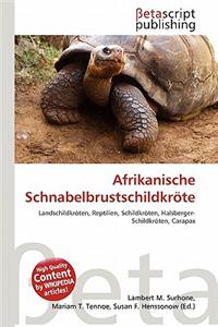 Afrikanische Schnabelbrustschildkr Te