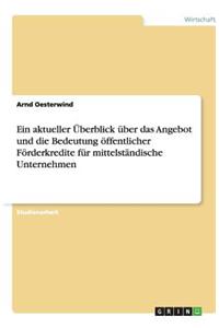 Ein aktueller Überblick über das Angebot und die Bedeutung öffentlicher Förderkredite für mittelständische Unternehmen
