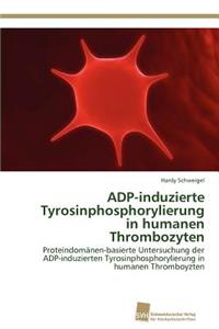 ADP-induzierte Tyrosinphosphorylierung in humanen Thrombozyten