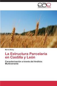 Estructura Parcelaria en Castilla y León