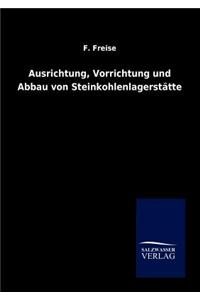 Ausrichtung, Vorrichtung und Abbau von Steinkohlenlagerstätten