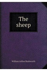 The Sheep