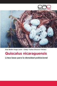 Quiscalus nicaraguensis