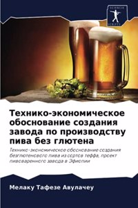 Технико-экономическое обоснование созд