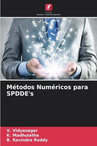 Métodos Numéricos para SPDDE's