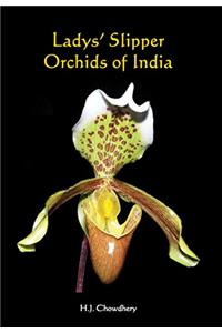 Ladys’ Slipper Orchids of India