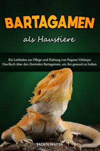 Bartagamen ALS Haustiere
