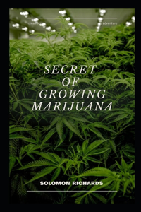 Secret of growing marijuana