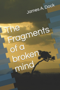 Fragments of a broken mind