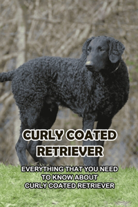 Curly Coated Retriever