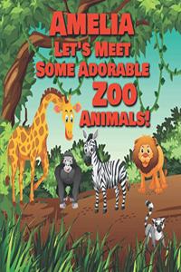 Amelia Let's Meet Some Adorable Zoo Animals!