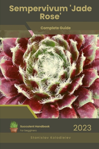 Sempervivum 'Jade Rose'