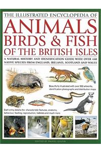 Illustrated Encyclopedia of Animals, Birds & Fish of the British Isles