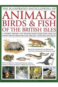 Illustrated Encyclopedia of Animals, Birds and Fish of the British Isles