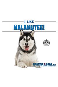 I Like Malamutes!