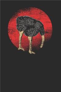 Ostrich Under Ground Head