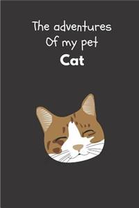 The Adventures Of My Pet Cat