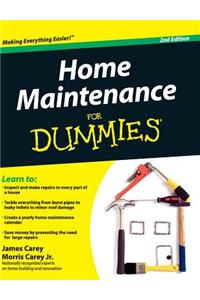 Home Maintenance for Dummies