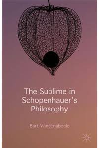 Sublime in Schopenhauer's Philosophy