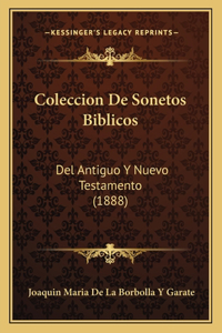 Coleccion De Sonetos Biblicos