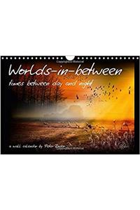 Worlds-In-Between - Times Between Day and Night / UK-Version 2017