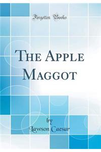 The Apple Maggot (Classic Reprint)