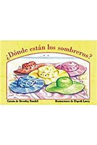 Donde Estan Los Sombreros? (Where Are the Sunhats?)