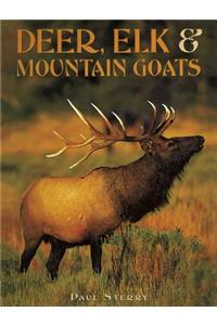 Deer, Elk & Mountain Goats