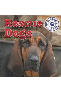 Rescue Dogs