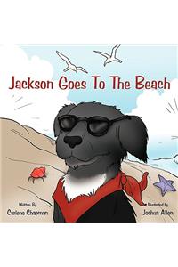 Jackson Goes To The Beach