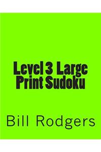Level 3 Large Print Sudoku
