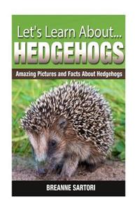 Hedgehogs