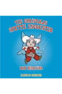 The Christmas Spryte Encounter
