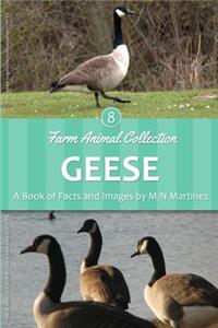 Geese