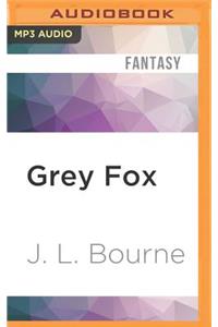 Grey Fox