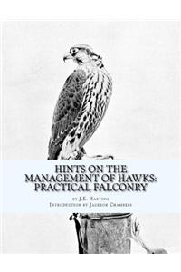 Hints on the Management of Hawks