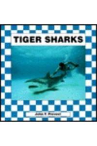 Tiger Sharks