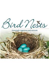 Bird Nests