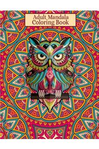 Adult Mandala Coloring Book